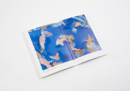 Studio Min Hee Lee